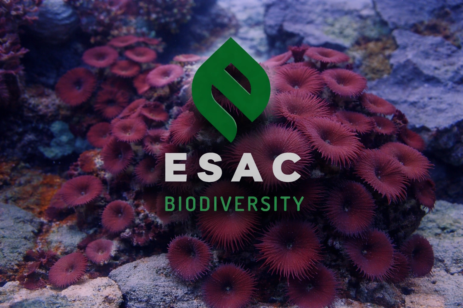 ESAC Biodiversity