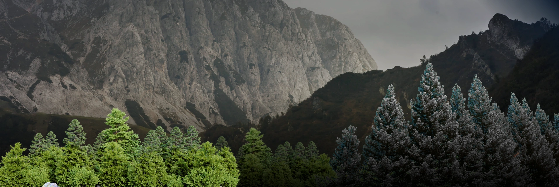 ESAC Group integrated environmental solutions