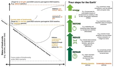 Biodiversity baseline