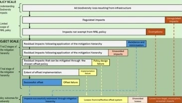 Biodiversity baseline and mitigation