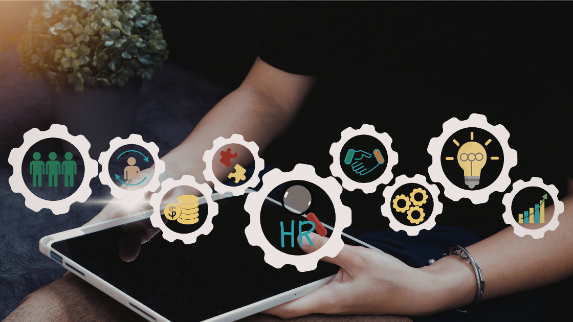 Systems, Assurance & Capacity Building