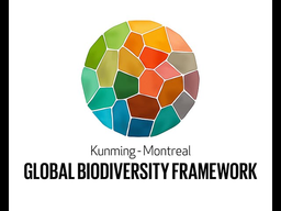 IMSP_002_ESAC Organization STR_2024.pdf-image-112